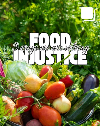 A basket of tomatoes, onions and squash: “3 ways we are solving food injustice”